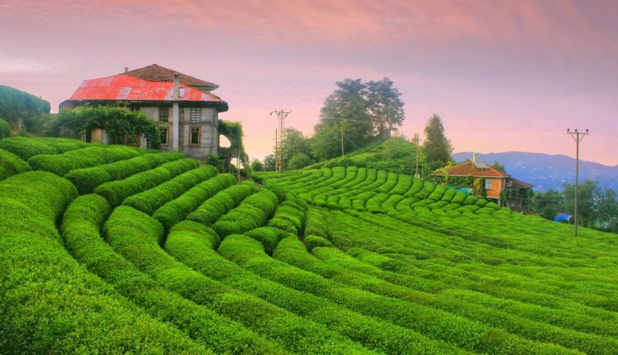 Karadeniz’in İncisi: Ayder Yaylası’nda Unutulmaz Bir Yolculuk